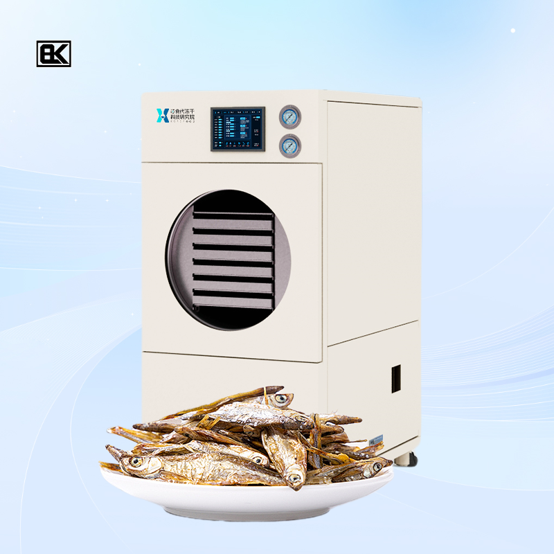 The Ultimate Freeze Drying Experience with Bolaike for Small Shops